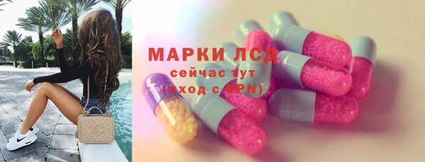 хмурый Осинники