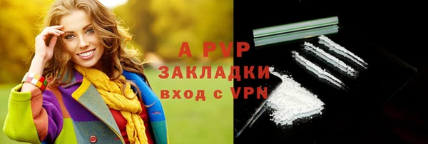хмурый Осинники