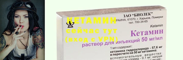 хмурый Осинники