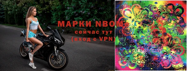 хмурый Осинники