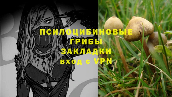 хмурый Осинники
