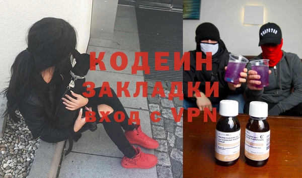 хмурый Осинники