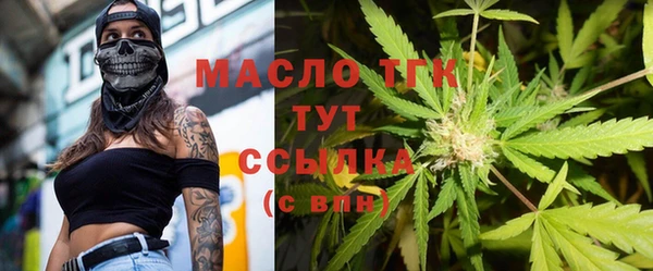 хмурый Осинники