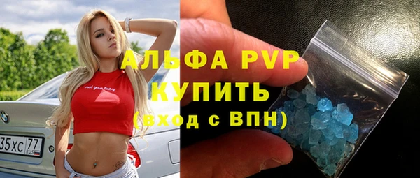 хмурый Осинники