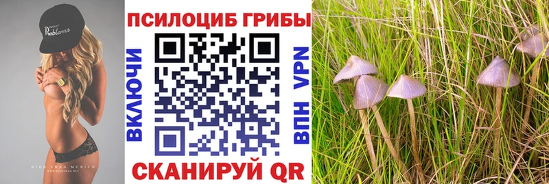 дарк нет наркотические препараты  Ясногорск  Галлюциногенные грибы мицелий  mega как войти 